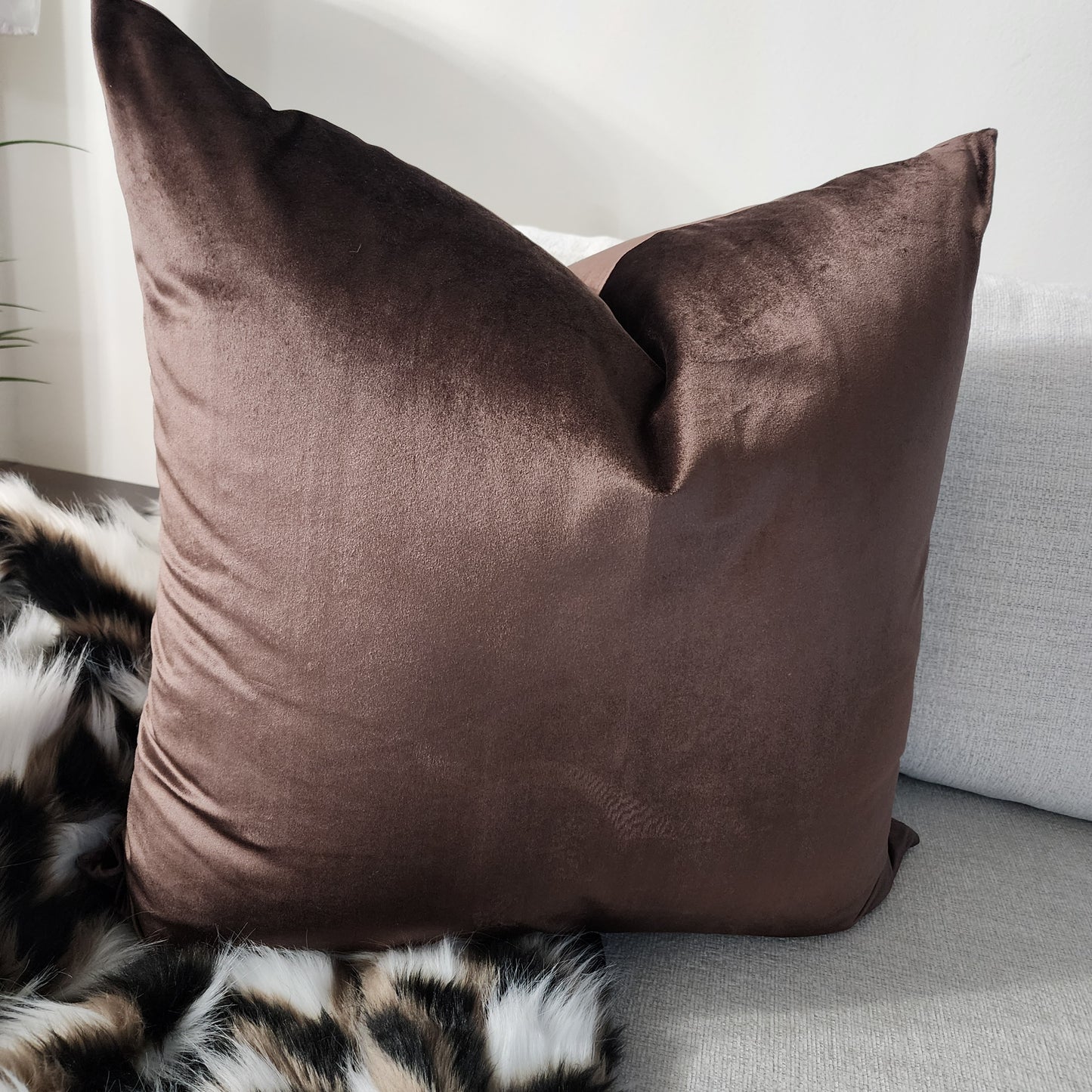 Brown Bear velvet