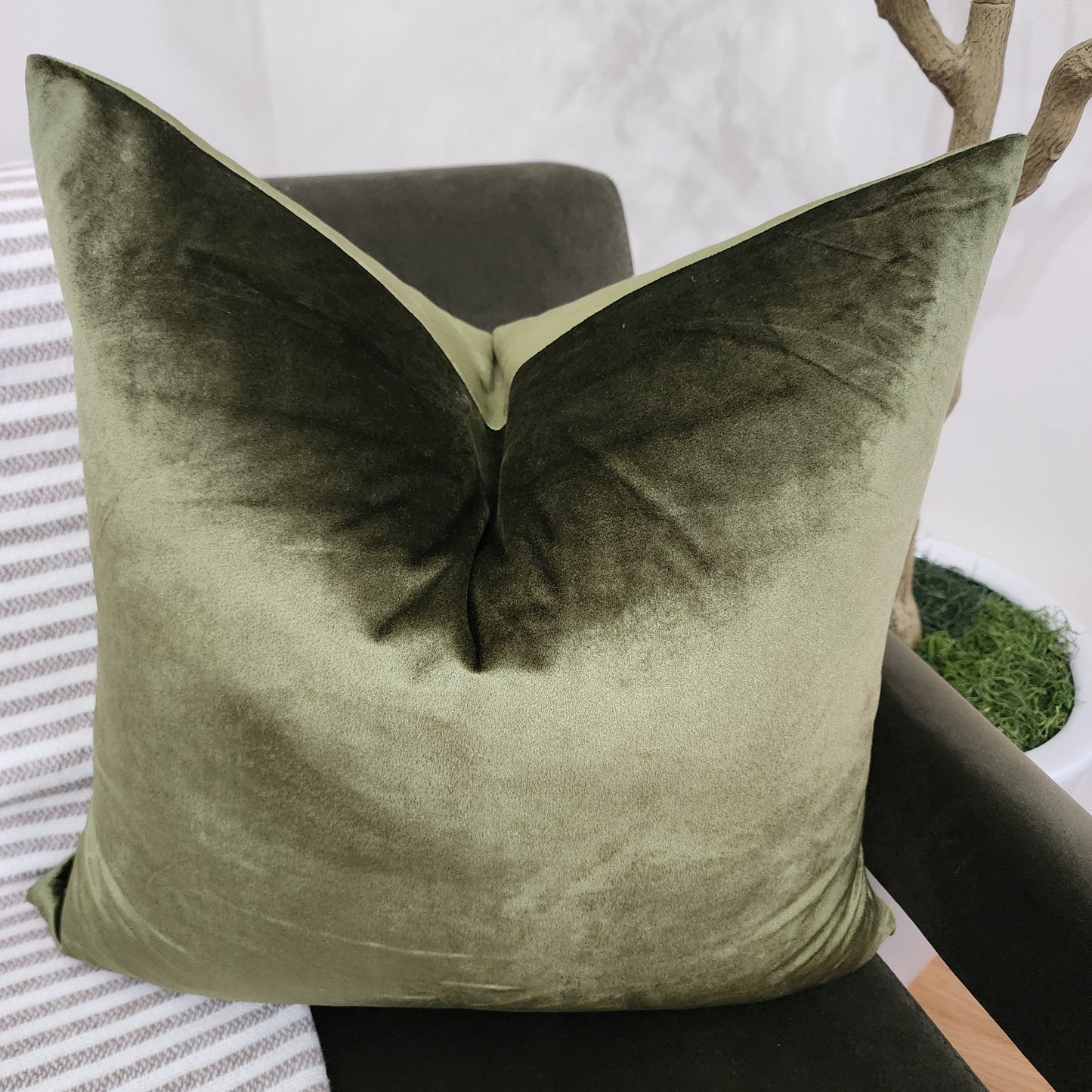 Velvet Olive green